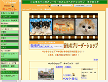 Tablet Screenshot of carrot-net.com